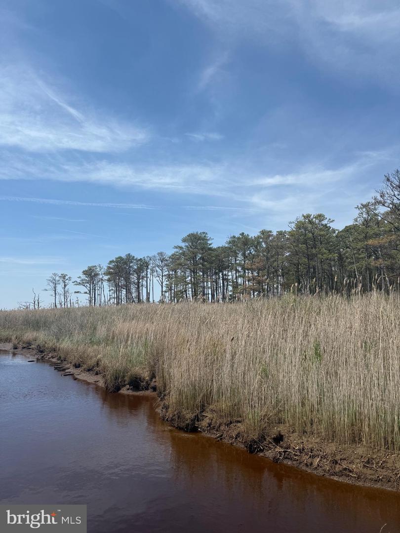 Property Photo: N/S Route 16 - Taylors Island Road MD 21648