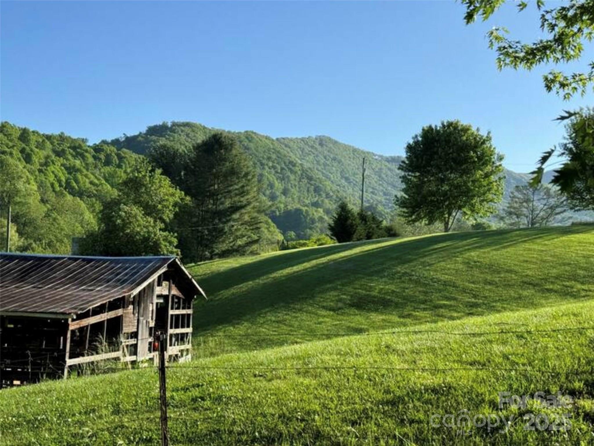Property Photo: 340 Mauney Cove Road NC 28786