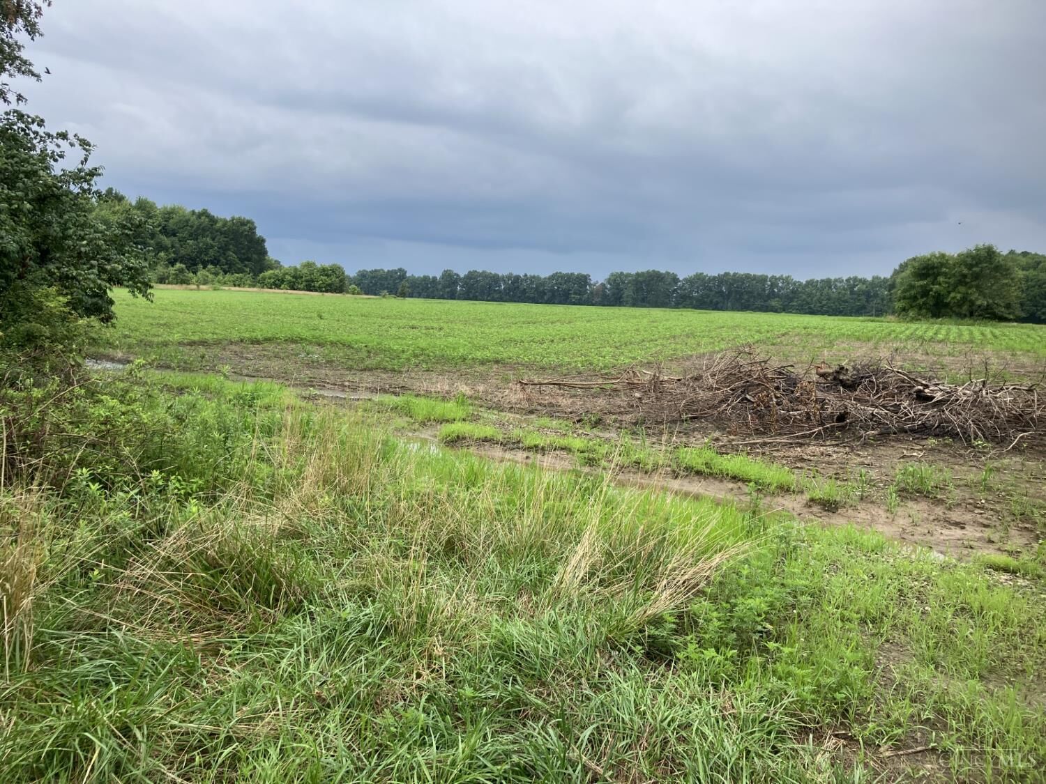 Property Photo:  0 Morrow Woodville Road  OH 45162 