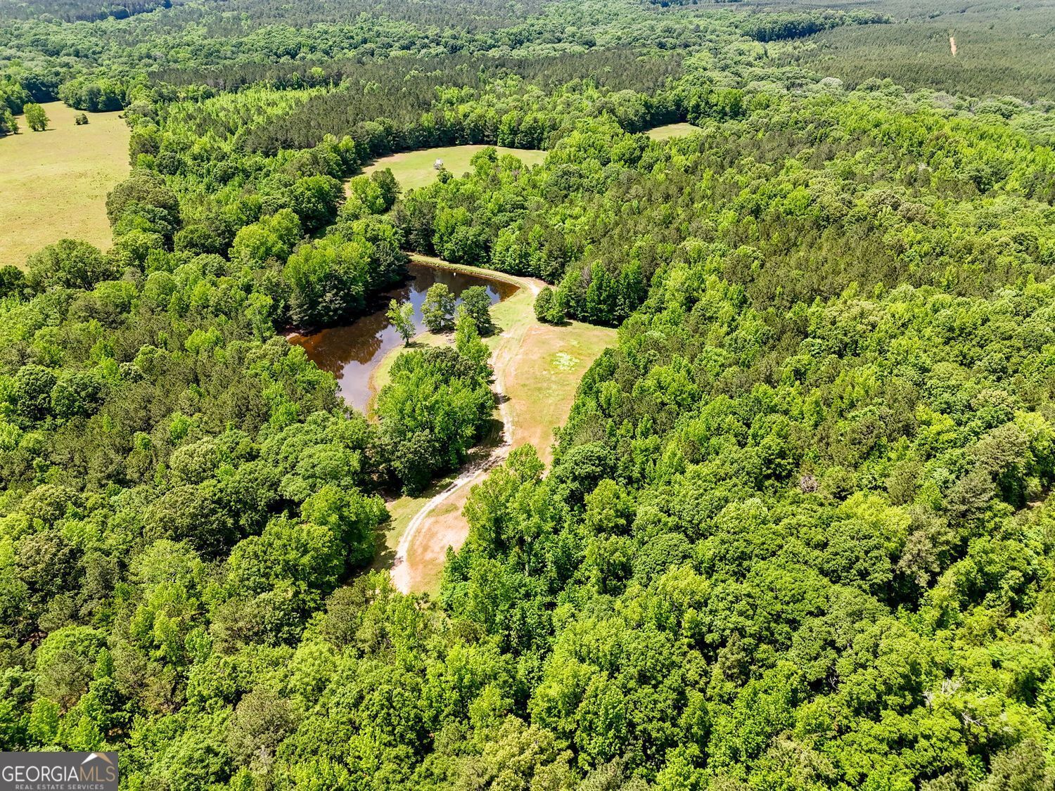 Property Photo:  102 +/- Acres - Old Zebulon Road  GA 30258 