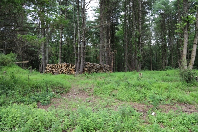 Property Photo:  109 Riverview Ter  NJ 07827 