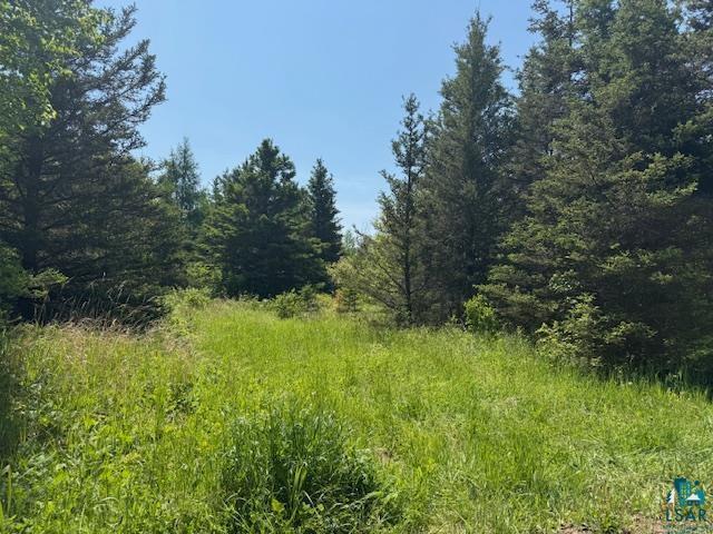 Property Photo:  Xxx Arrowhead Tr  MN 55606 