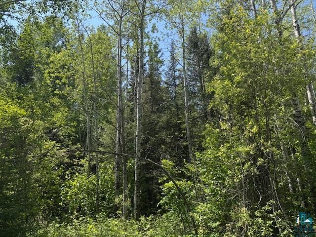 Property Photo:  Xxx Arrowhead Tr  MN 55606 