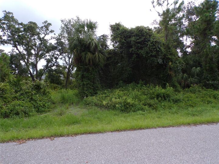 Property Photo:  20404 Wingate Avenue  FL 33954 