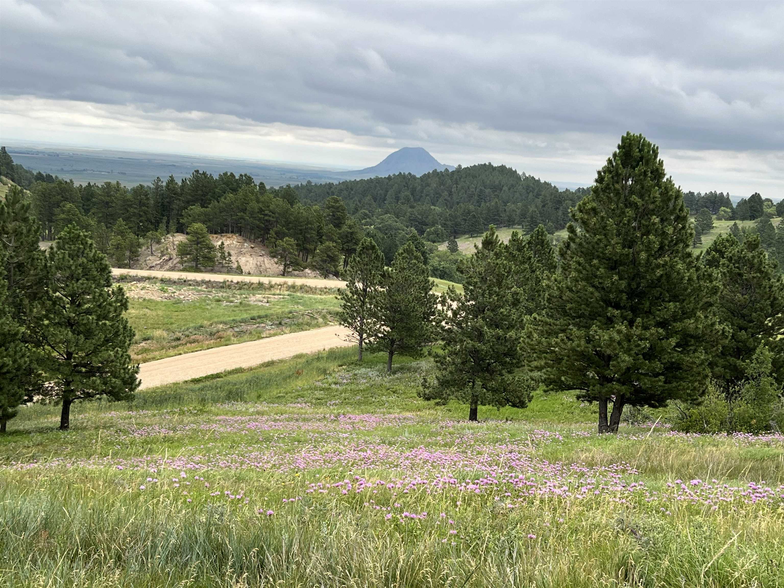 Property Photo: Lot 30 Summit Pass SD 57793