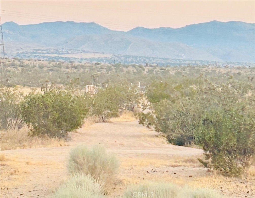 Property Photo:  1 Cottonwood Springs  CA 92307 