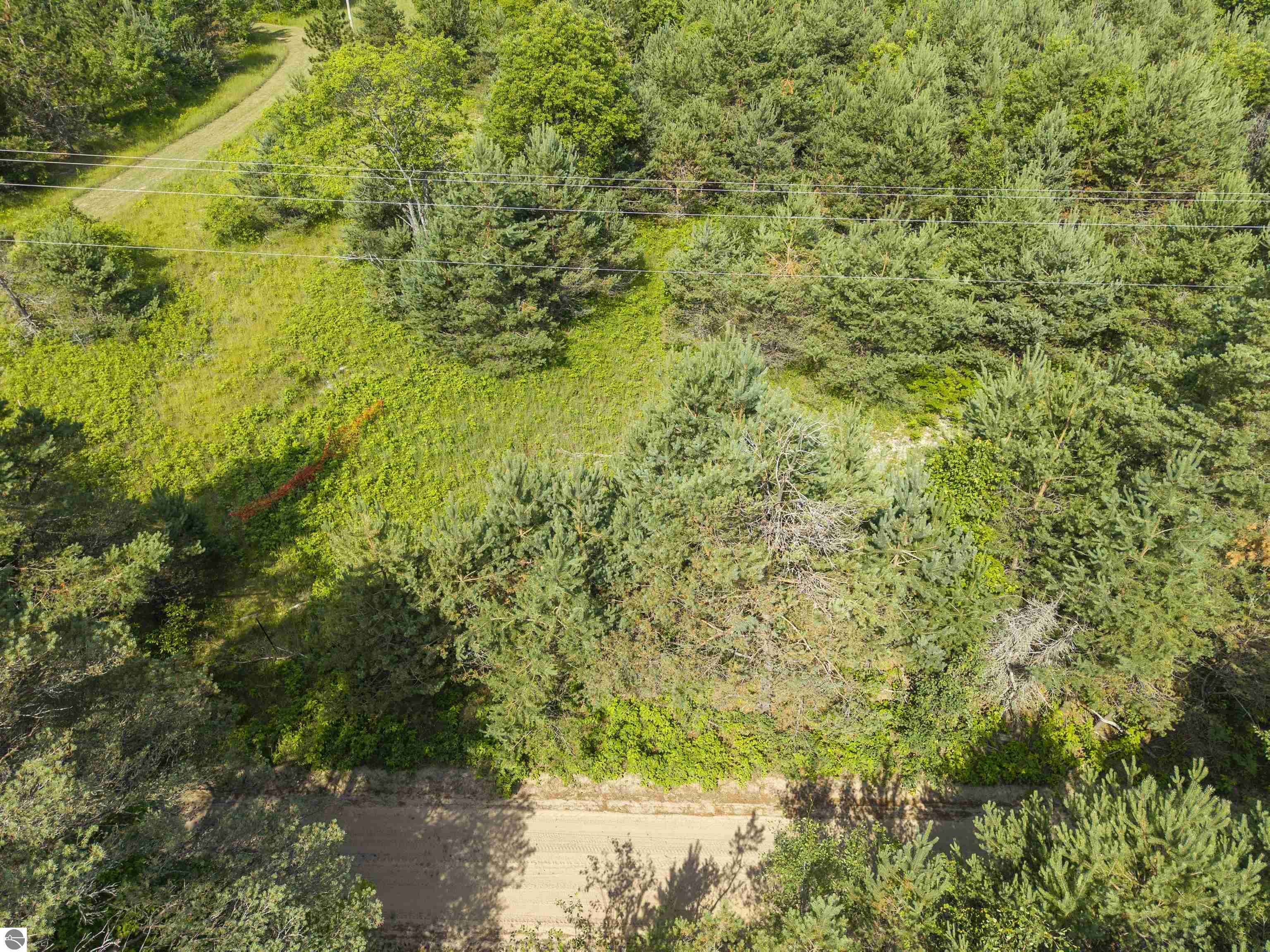 C Tucker Road  Elmira MI 49730 photo