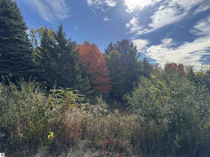 1.6 Acres January Drive  Traverse City MI 49684 photo