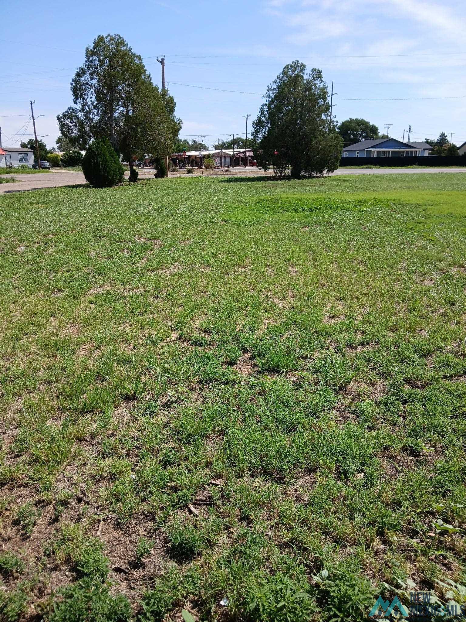 Property Photo:  413 N Main Street  NM 88130 