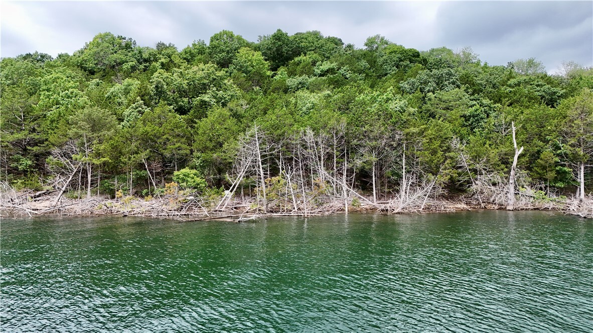 Property Photo:  Lots 8,9,10 Cedar Forest Drive  AR 72732 