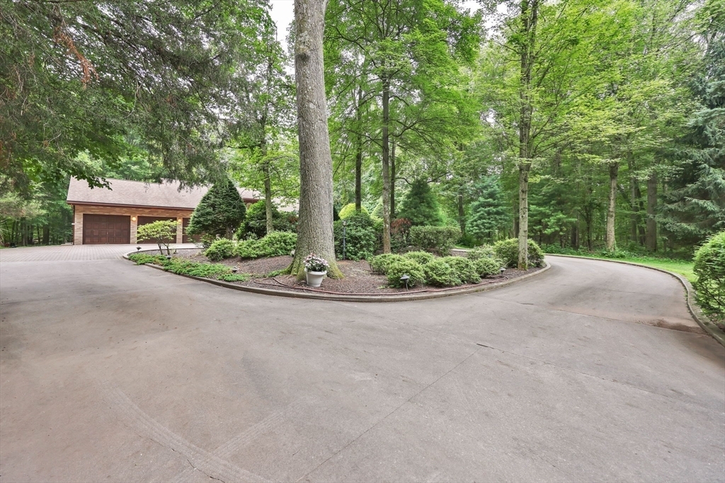 Property Photo:  780 Birnie Ave  MA 01089 