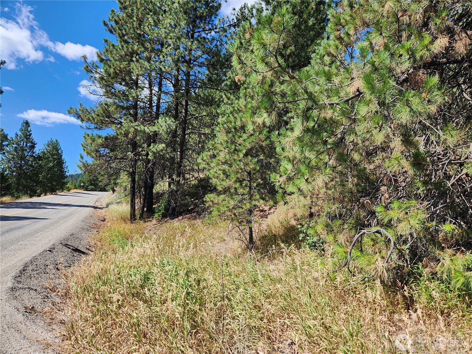 Property Photo:  0 Lot 1  Klondike Road  WA 99166 