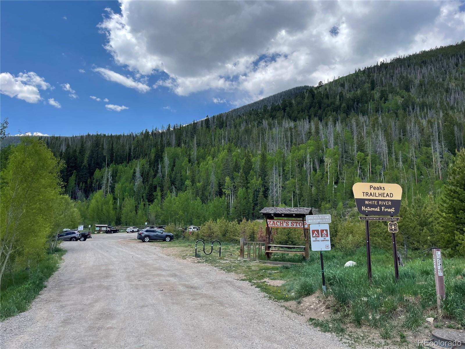 Property Photo: 216 Pitkin Street 3 CO 80443