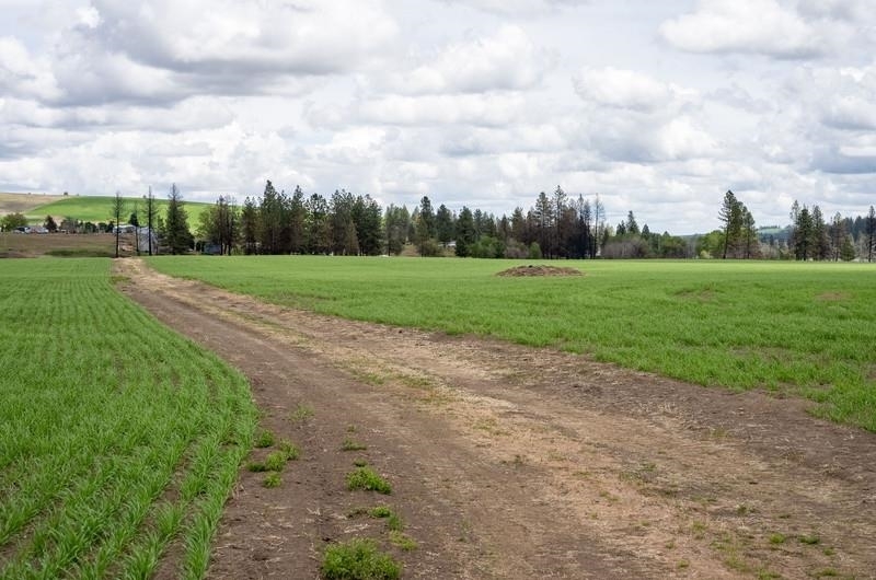 Property Photo:  Nka Lambridge Lane Lot 4 Ln  WA 99022 
