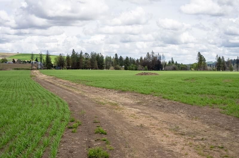 Property Photo:  Nka Lambridge Lane Lot 4 Ln  WA 99022 