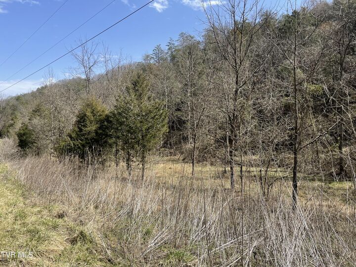 Property Photo:  1028 East Pumpkin Valley Road  TN 37731 
