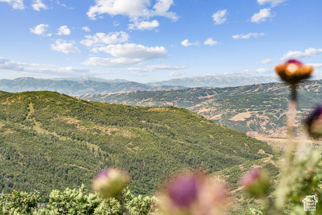 Property Photo:  10976 Skyline Rd 202  UT 84024 