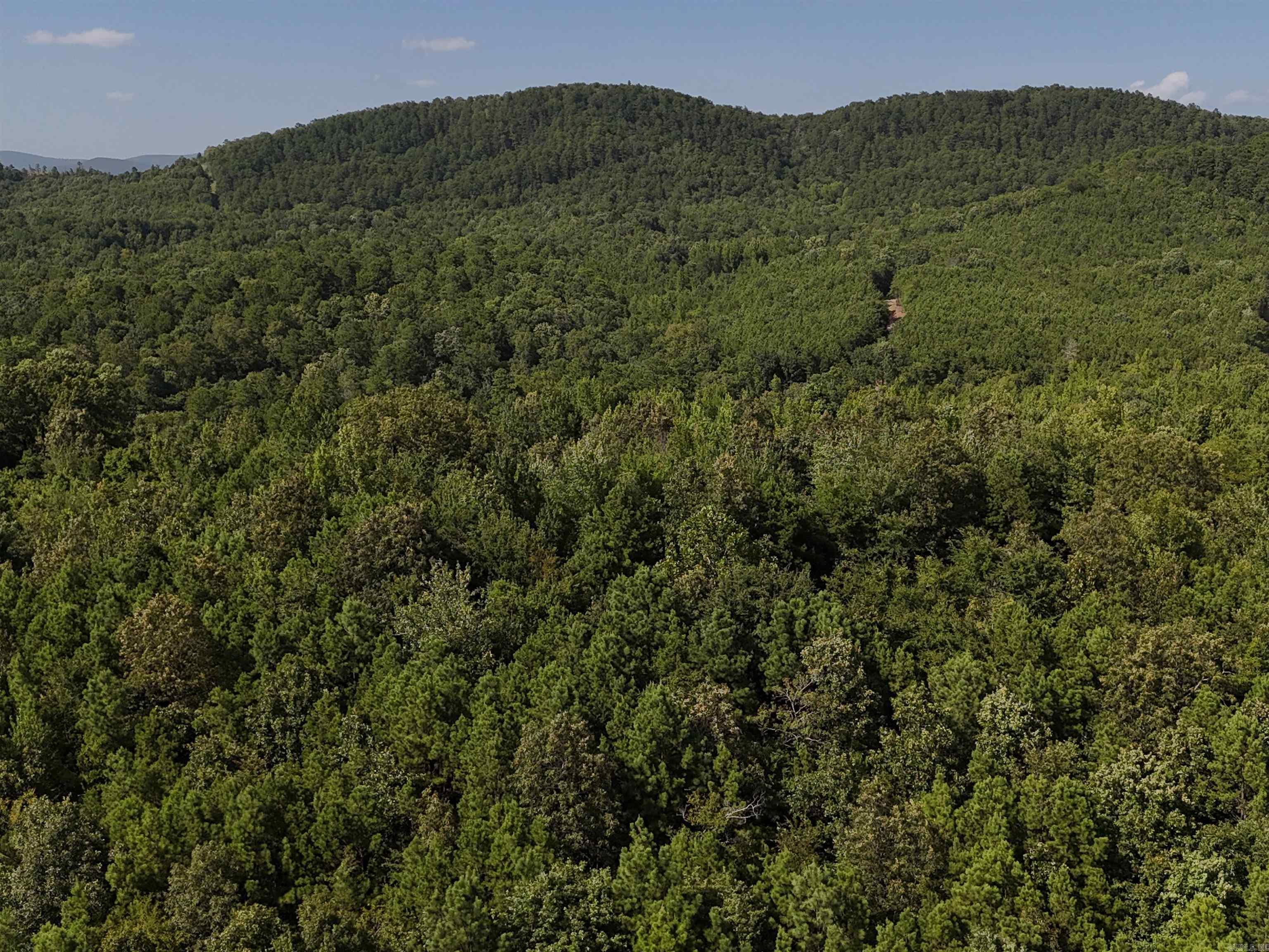 Property Photo:  Lot 1 Polk Road 78  AR 71953 