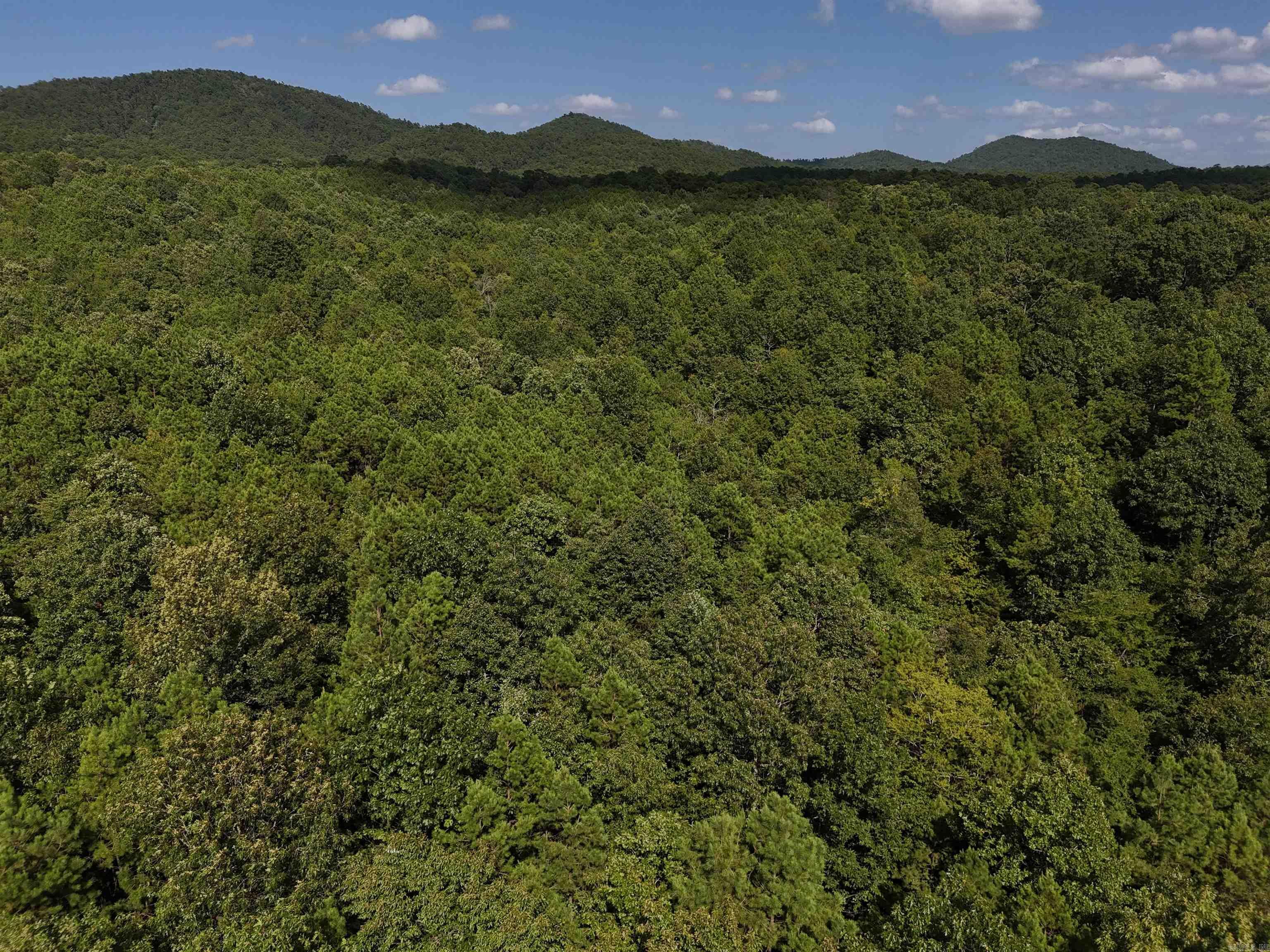 Property Photo:  Lot 4 Polk Road 78  AR 71953 