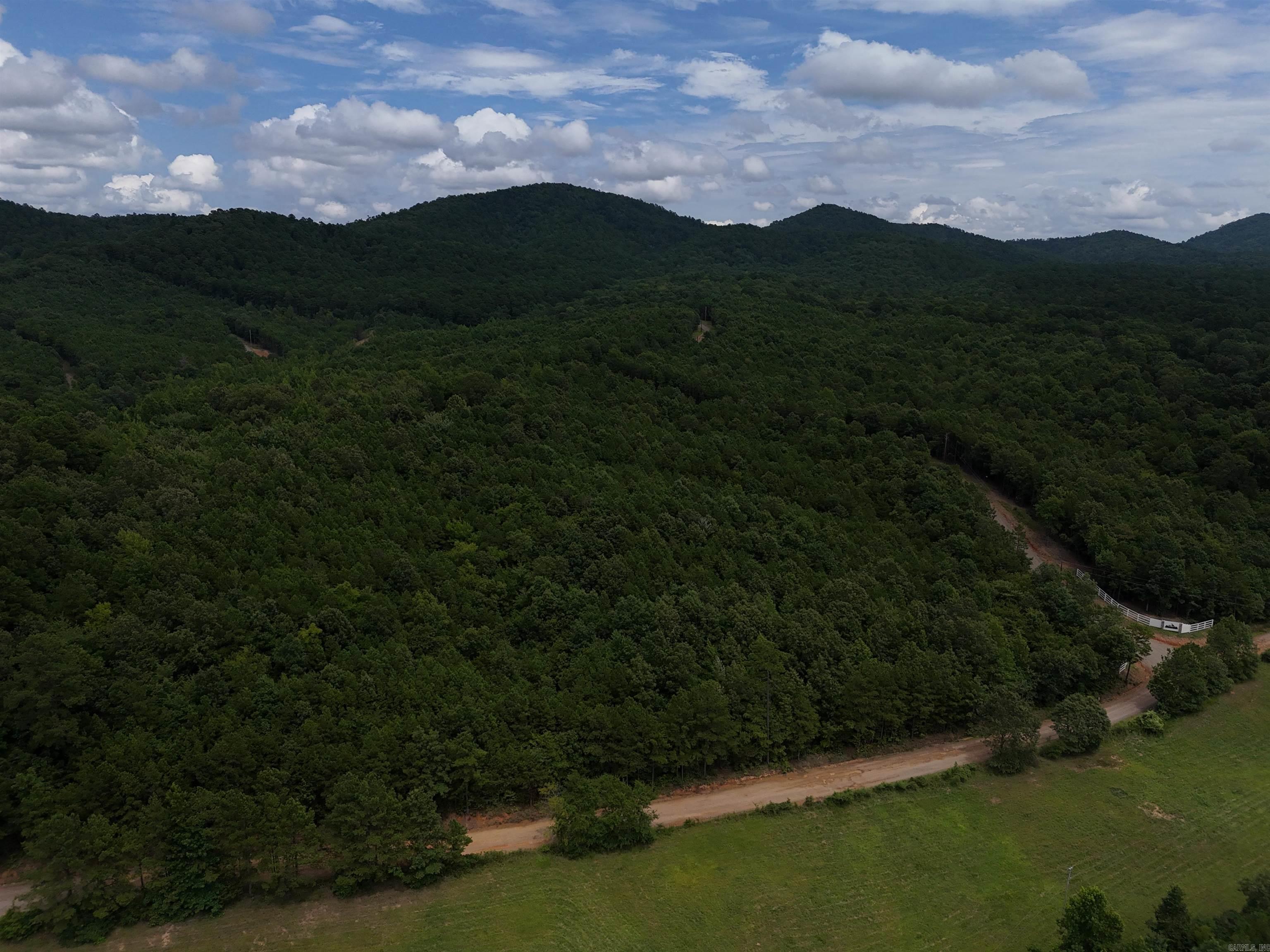 Property Photo:  Lot 2 Polk Road 78  AR 71953 