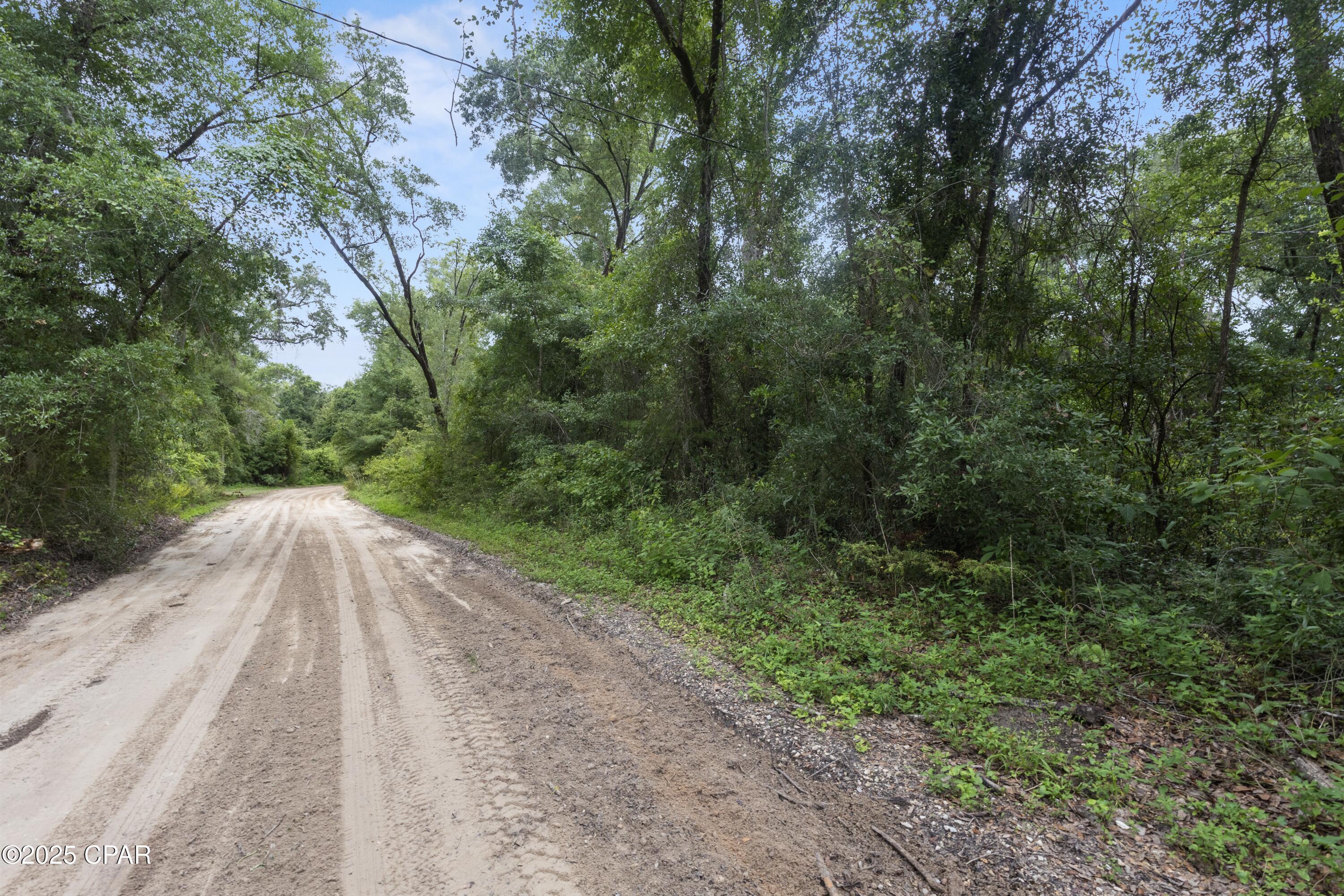 Property Photo:  Tba Wages Pond Road  FL 32428 