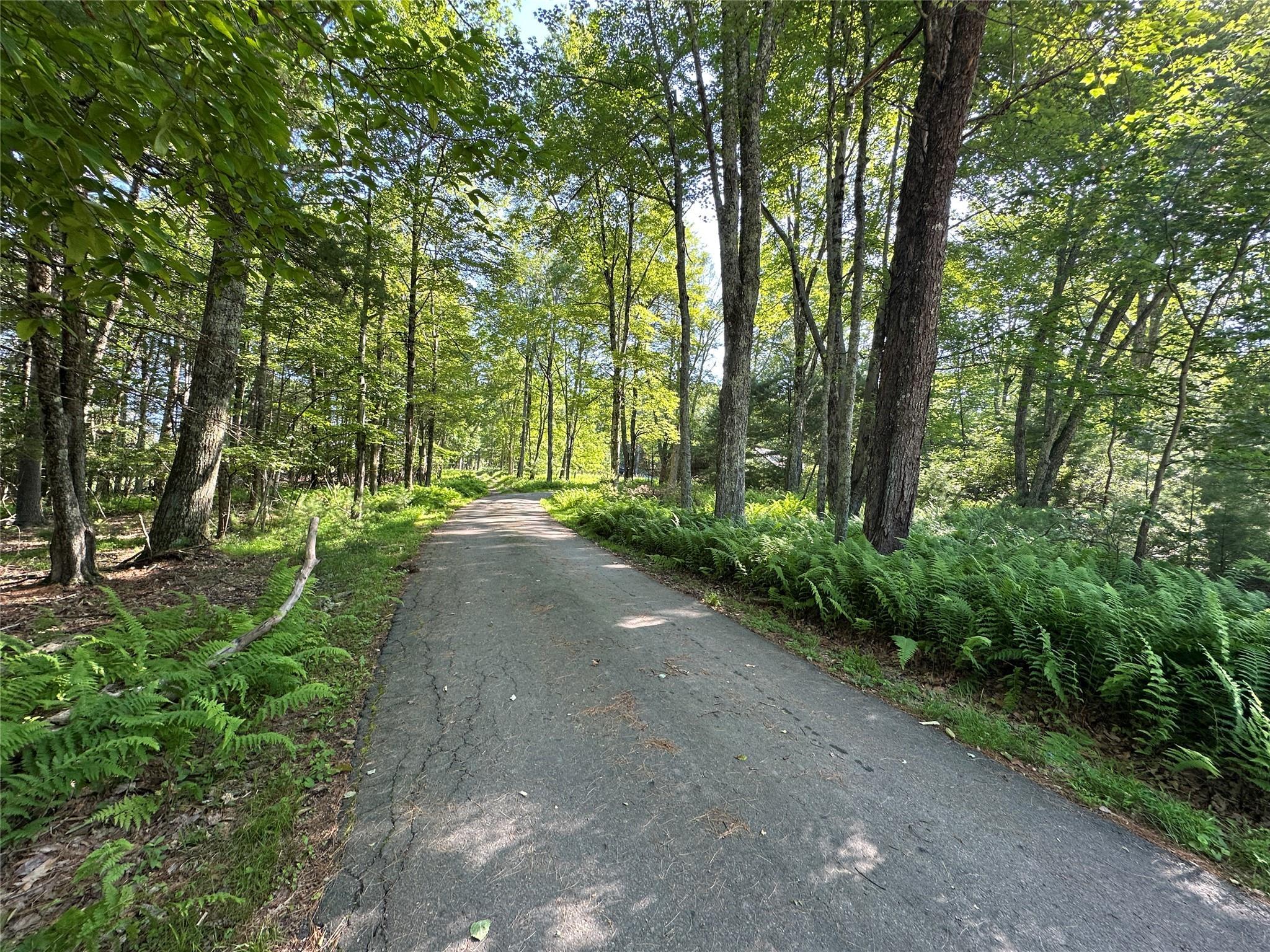 Property Photo: 954 Rt 23 Lumberland Mt Hope Road NY 12764