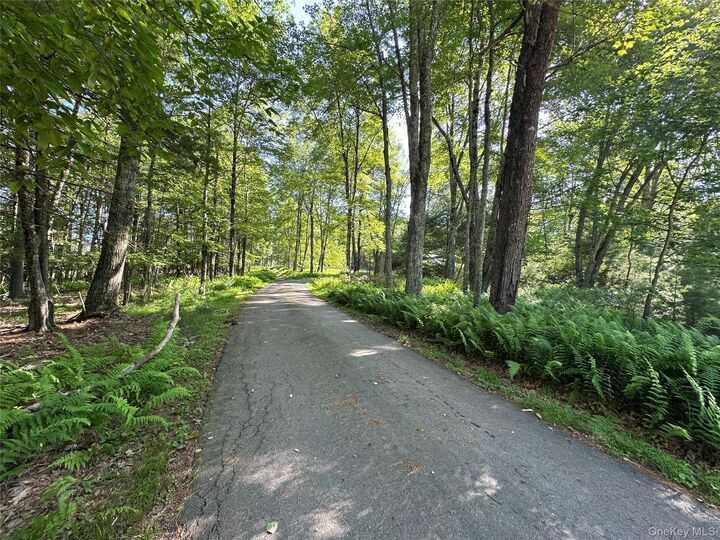 Property Photo: 954 Rt 23 Lumberland Mt Hope Road NY 12764