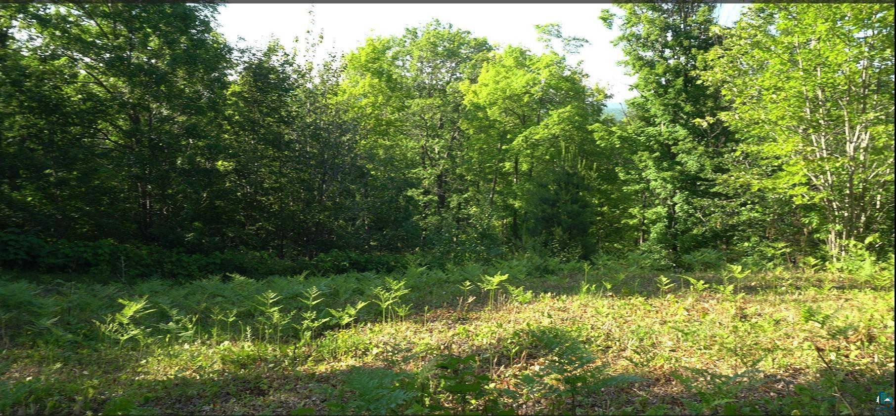 Property Photo: 83xxx Ashwabay Heights Rd Lot 13 WI 54814