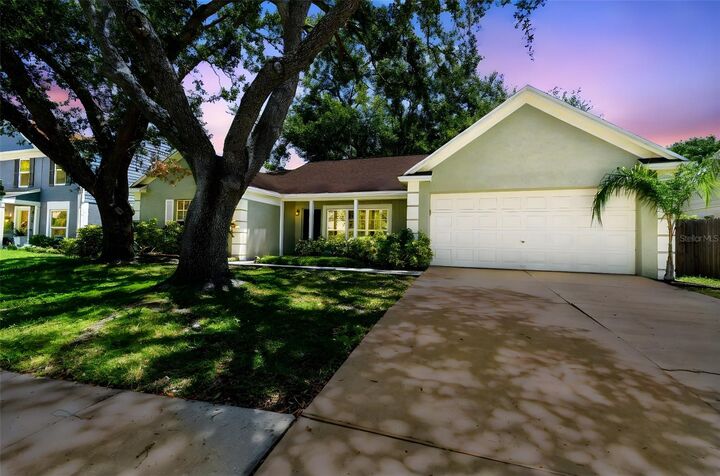 Property Photo:  9710 Cypress Pond Avenue  FL 33647 