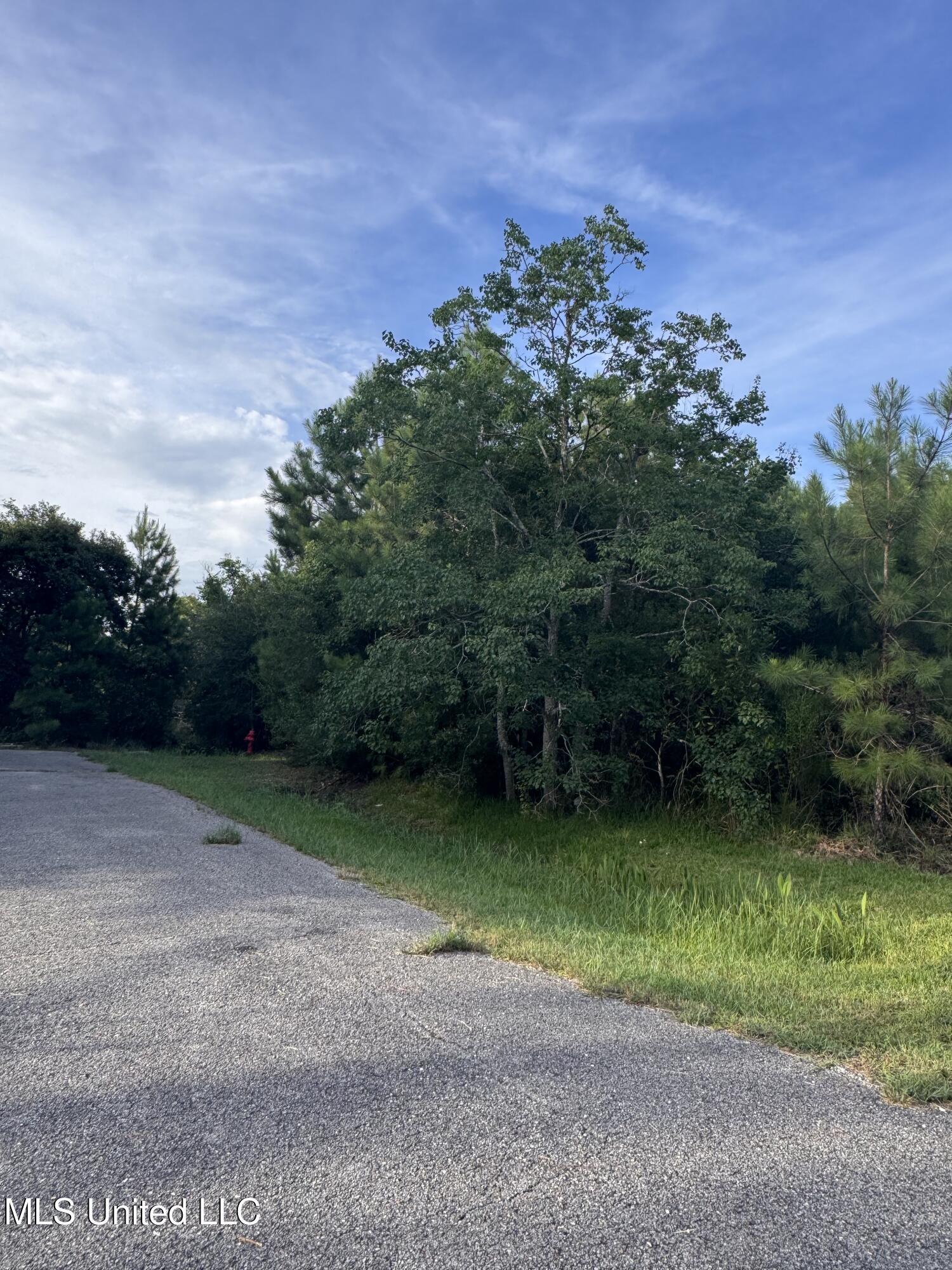 Property Photo: 10128 Peachtree Drive MS 39576