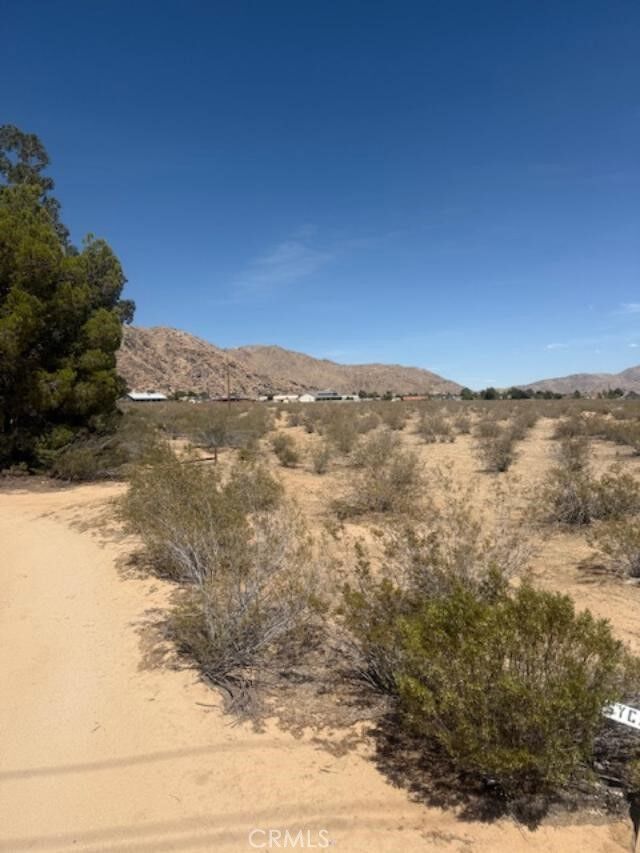 Property Photo:  0 Washoan Road  CA 92307 