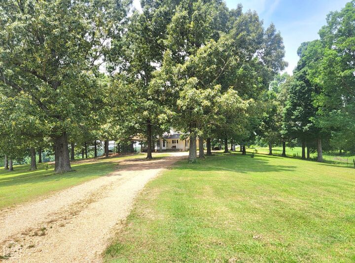 Property Photo:  1199 Greene 607 Rd  AR 72412 