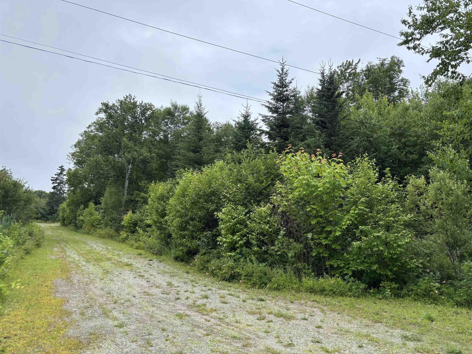 Property Photo:  15 Lot 15 Aden Lane  NS B0A 1H0 
