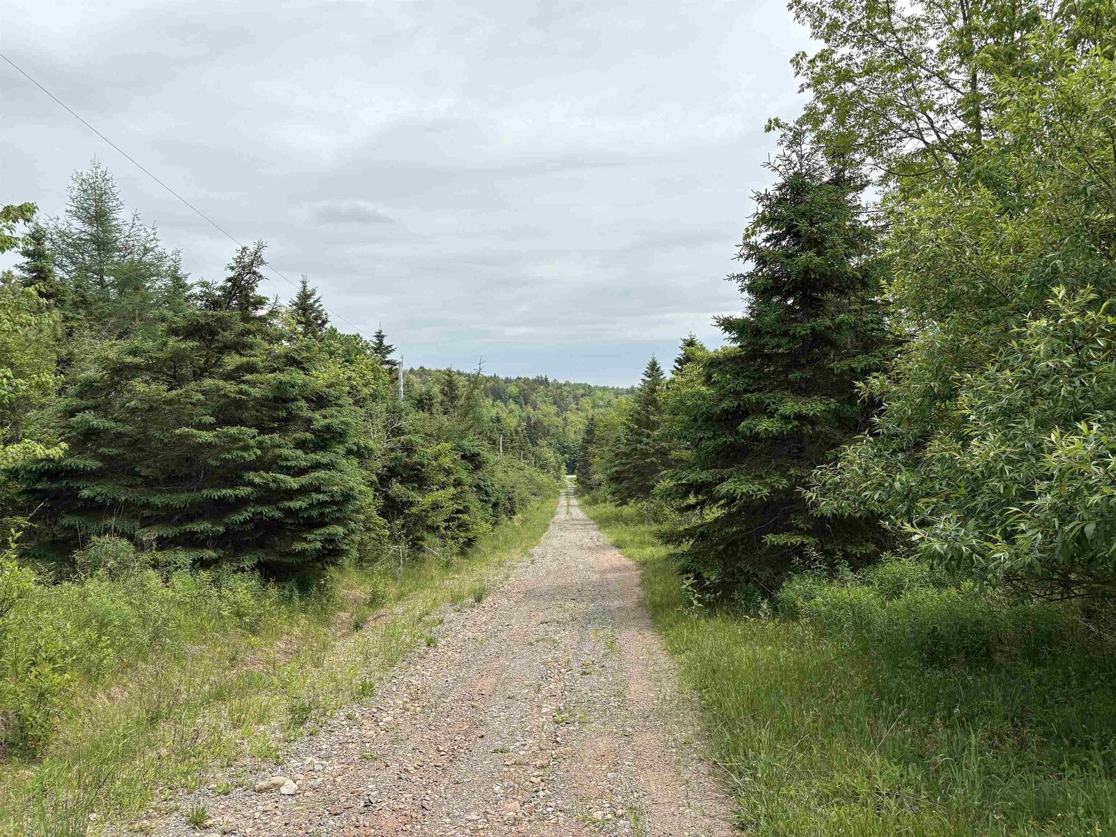 Property Photo: 14422 Hwy 224 Road NS B0N 2H0