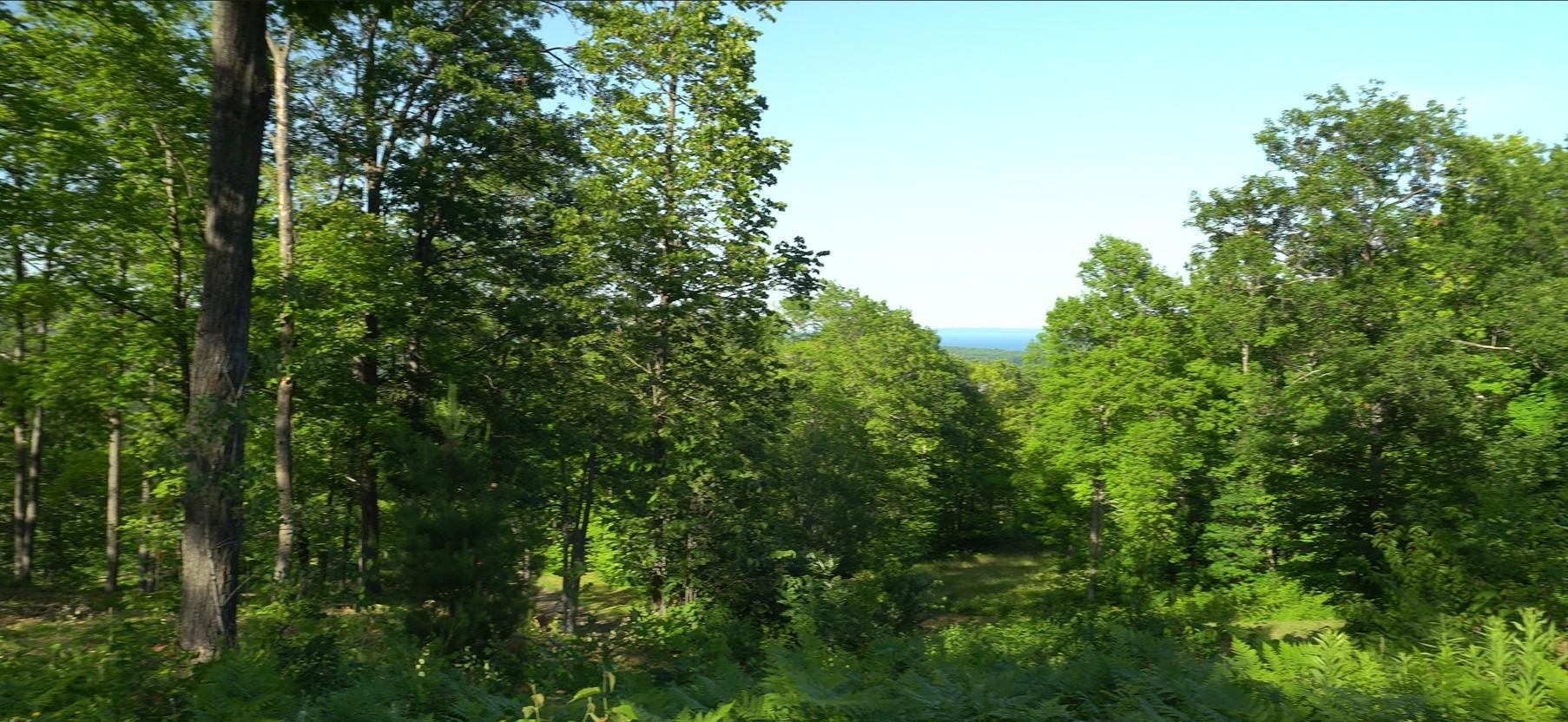 Property Photo: 83xxx - Lot 11 Ashwabay Road WI 54814