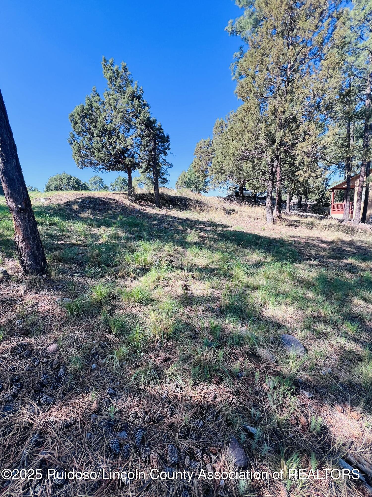 Property Photo:  Lot 7 High Mesa Road  NM 88312 