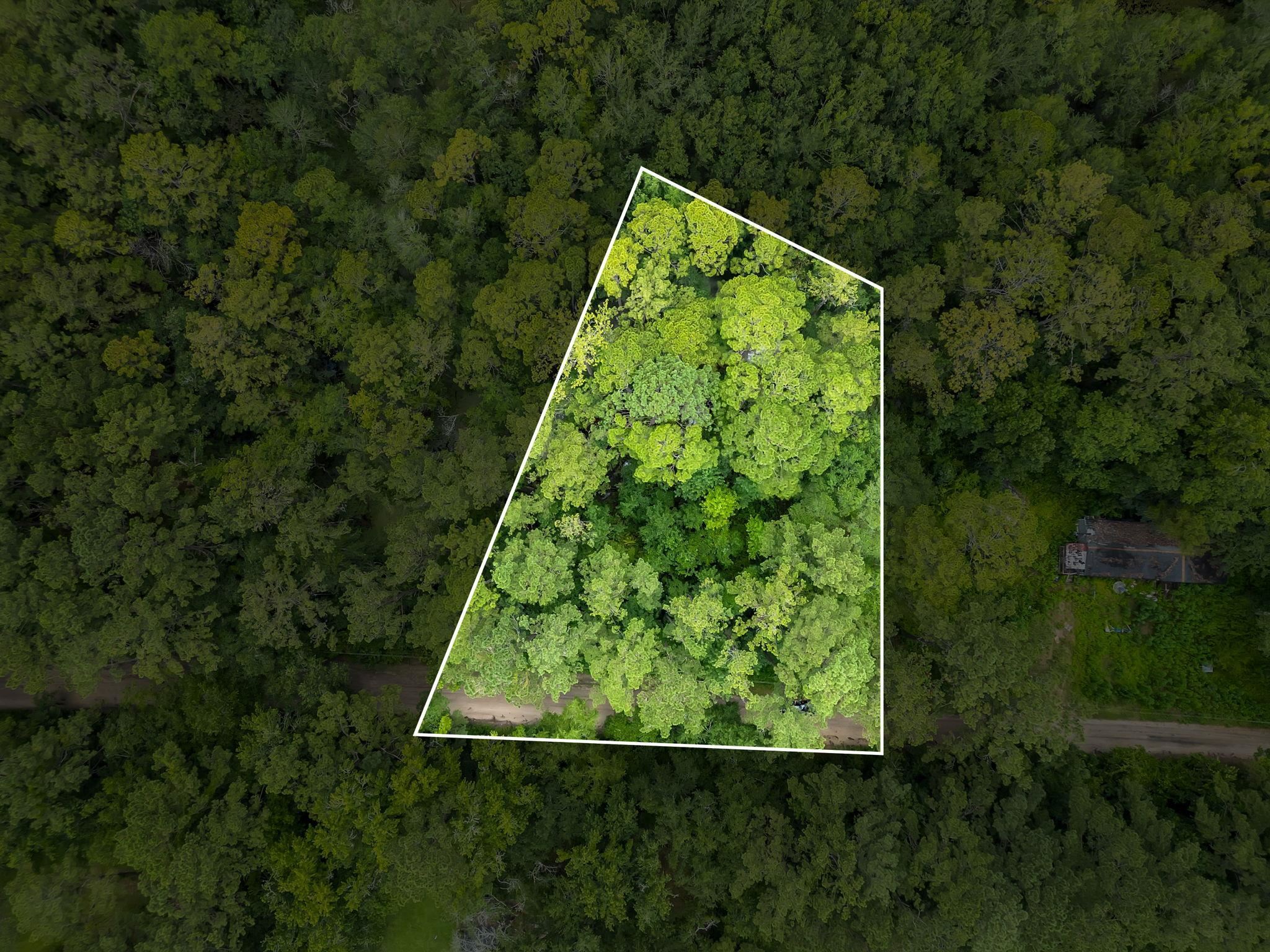 Property Photo:  Xxx Red Gum Road  FL 32304 
