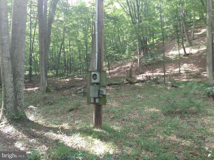 Property Photo:  578 Rouse Mountain Road  WV 25422 