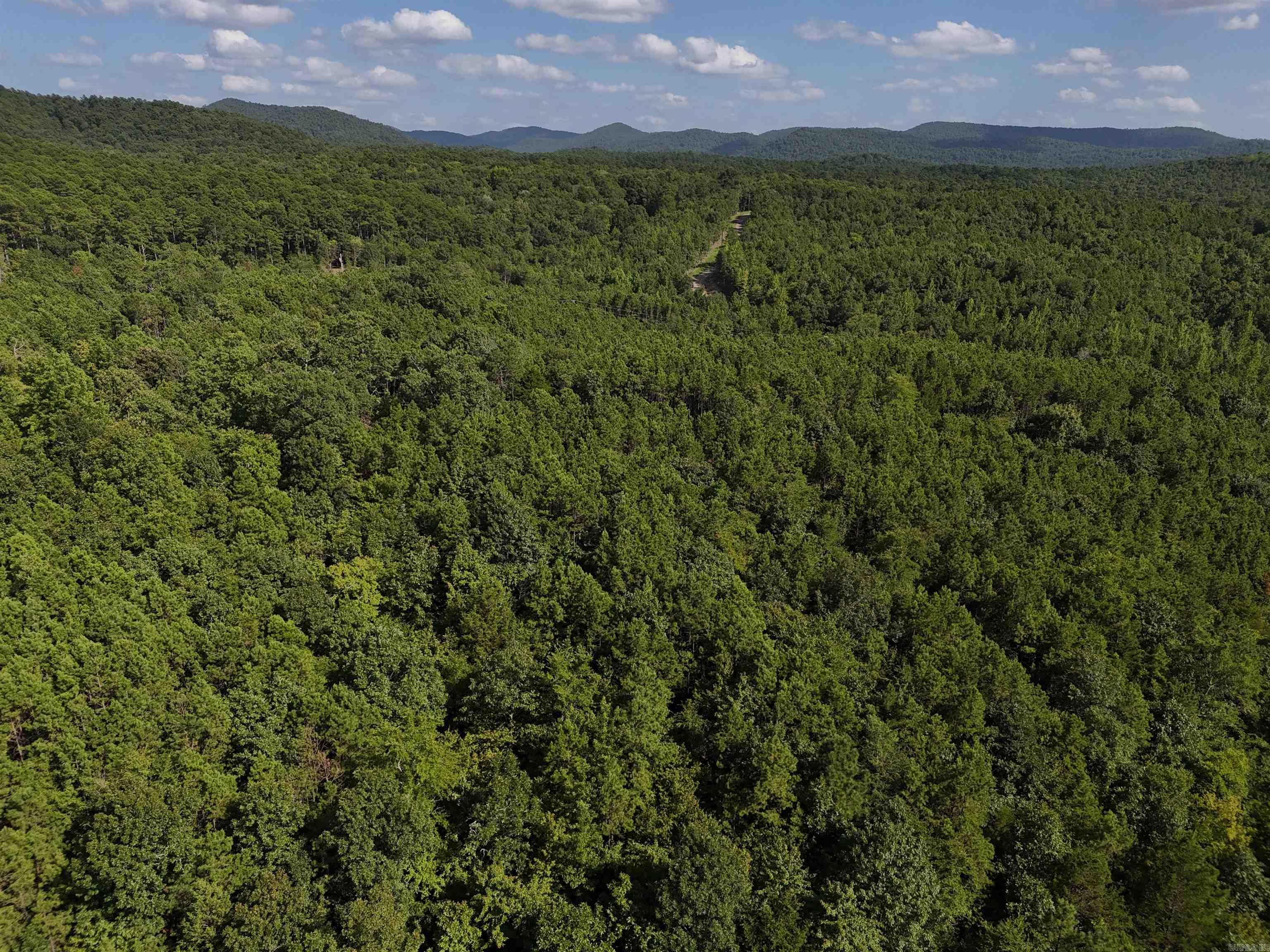 Property Photo:  Lot 18 Polk Road 78  AR 71953 