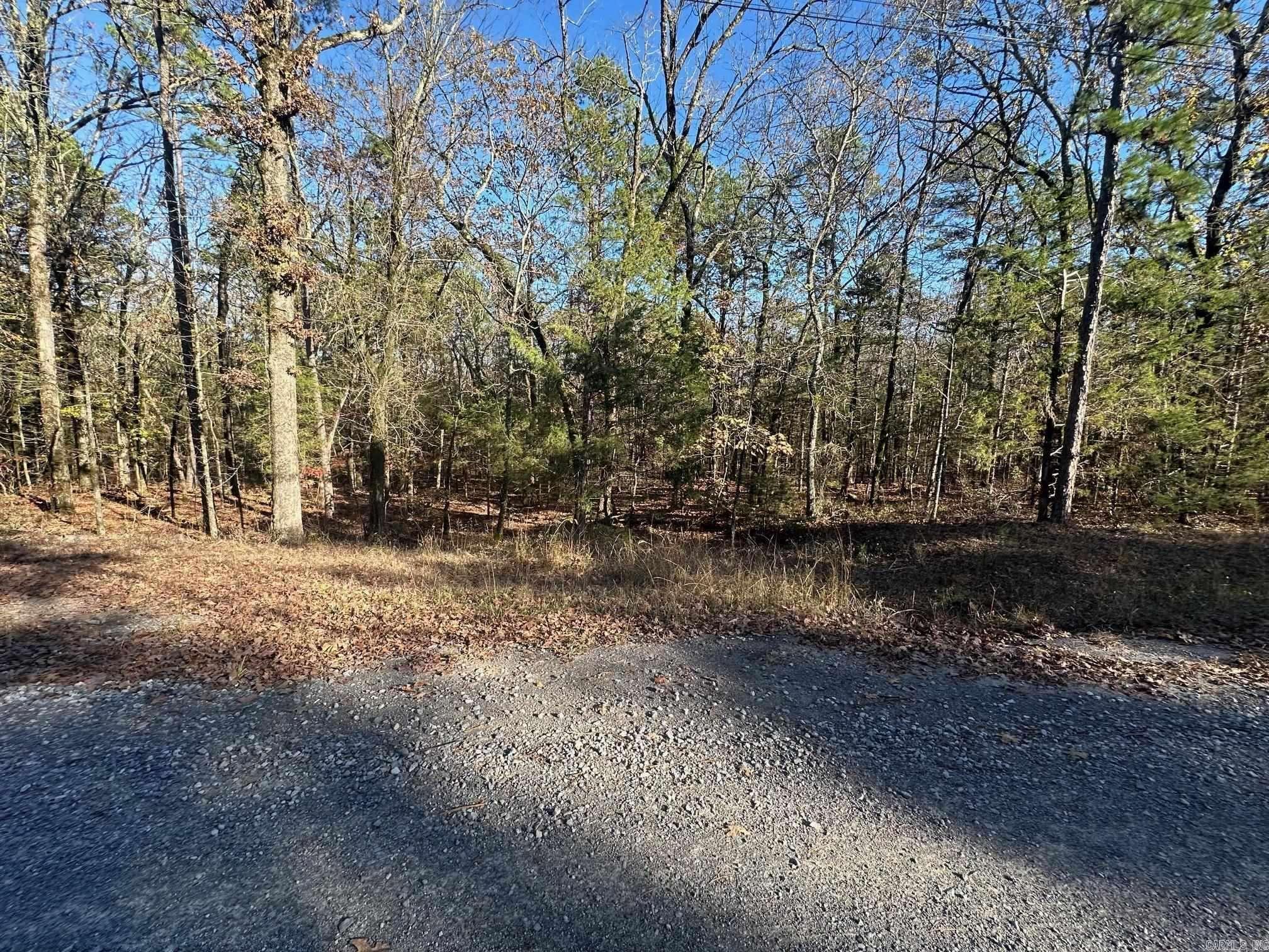 Property Photo: 65 Jimmerson Road AR 72067