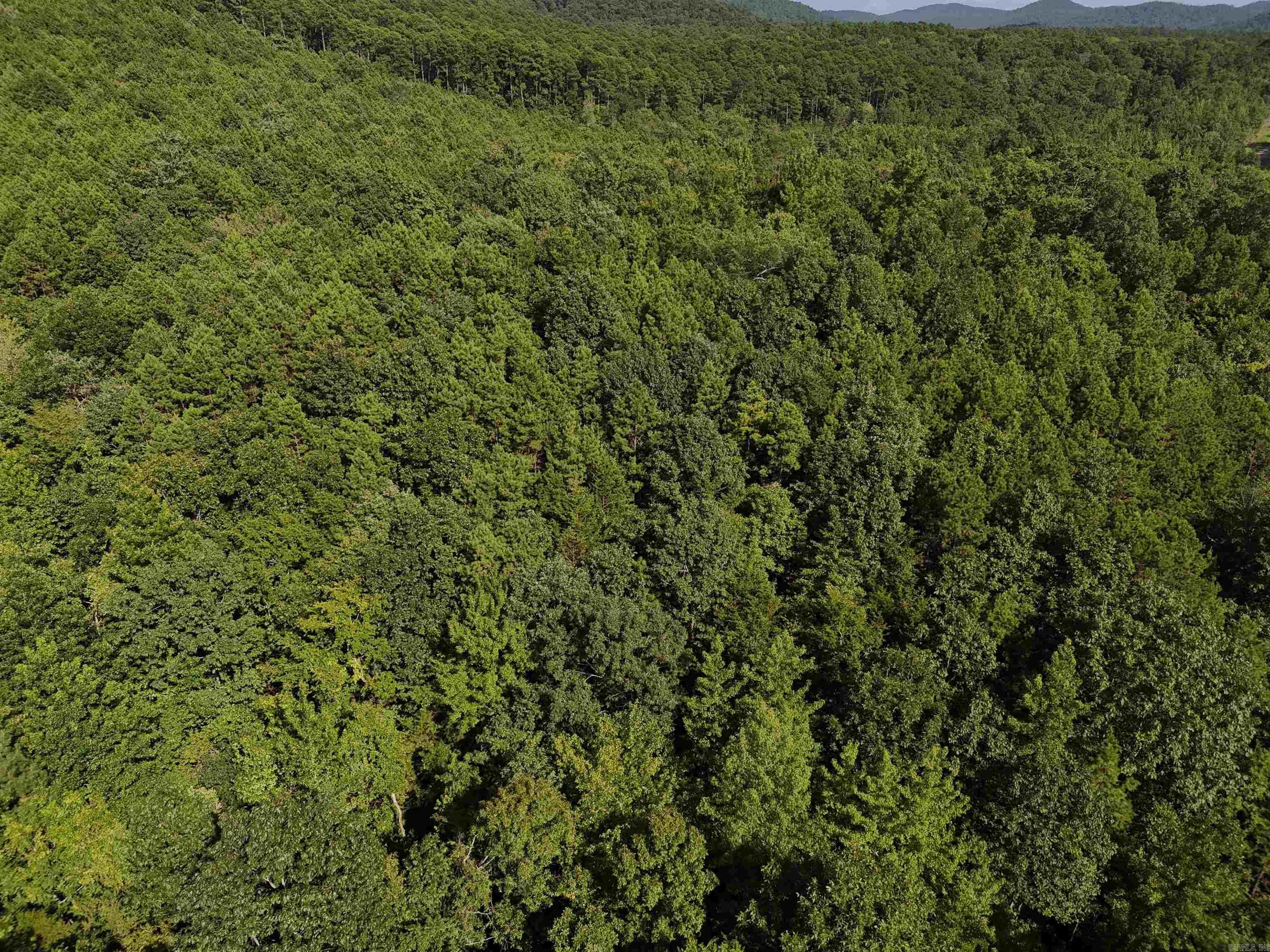 Property Photo:  Lot 17 Polk Road 78  AR 71953 