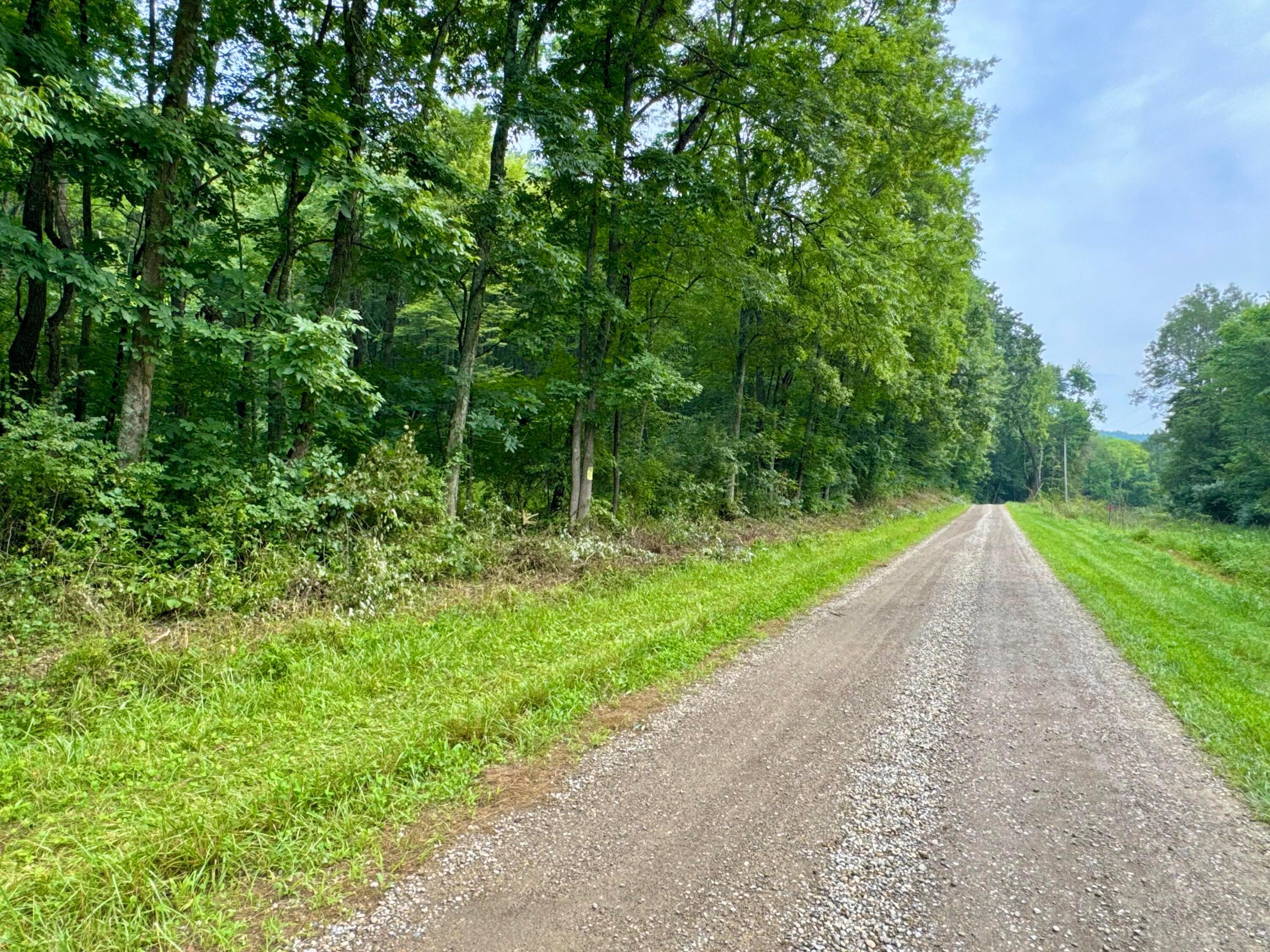 Property Photo:  0 Township Rd 437  OH 43821 