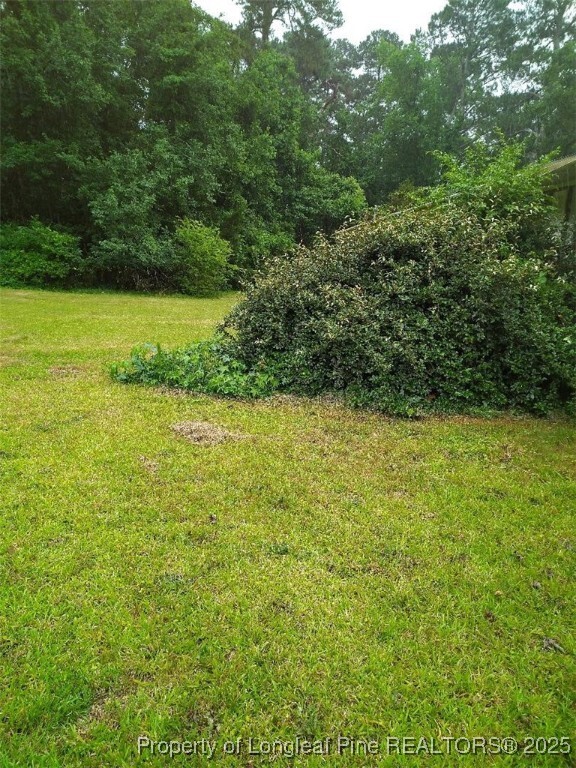 Property Photo: 88 Holcomb Road NC 28383