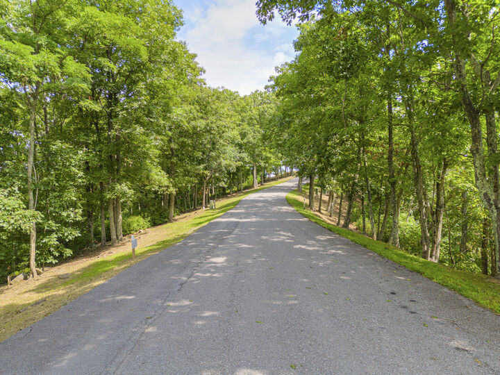 Property Photo:  Lot 96 White Rock Trl  WV 24925 