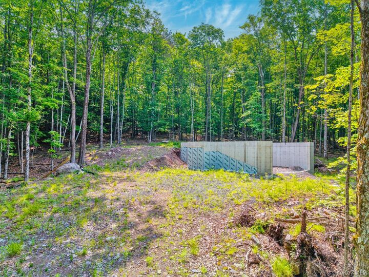 Property Photo: Tbd Boulder Brook Lot 11 Road NY 12496