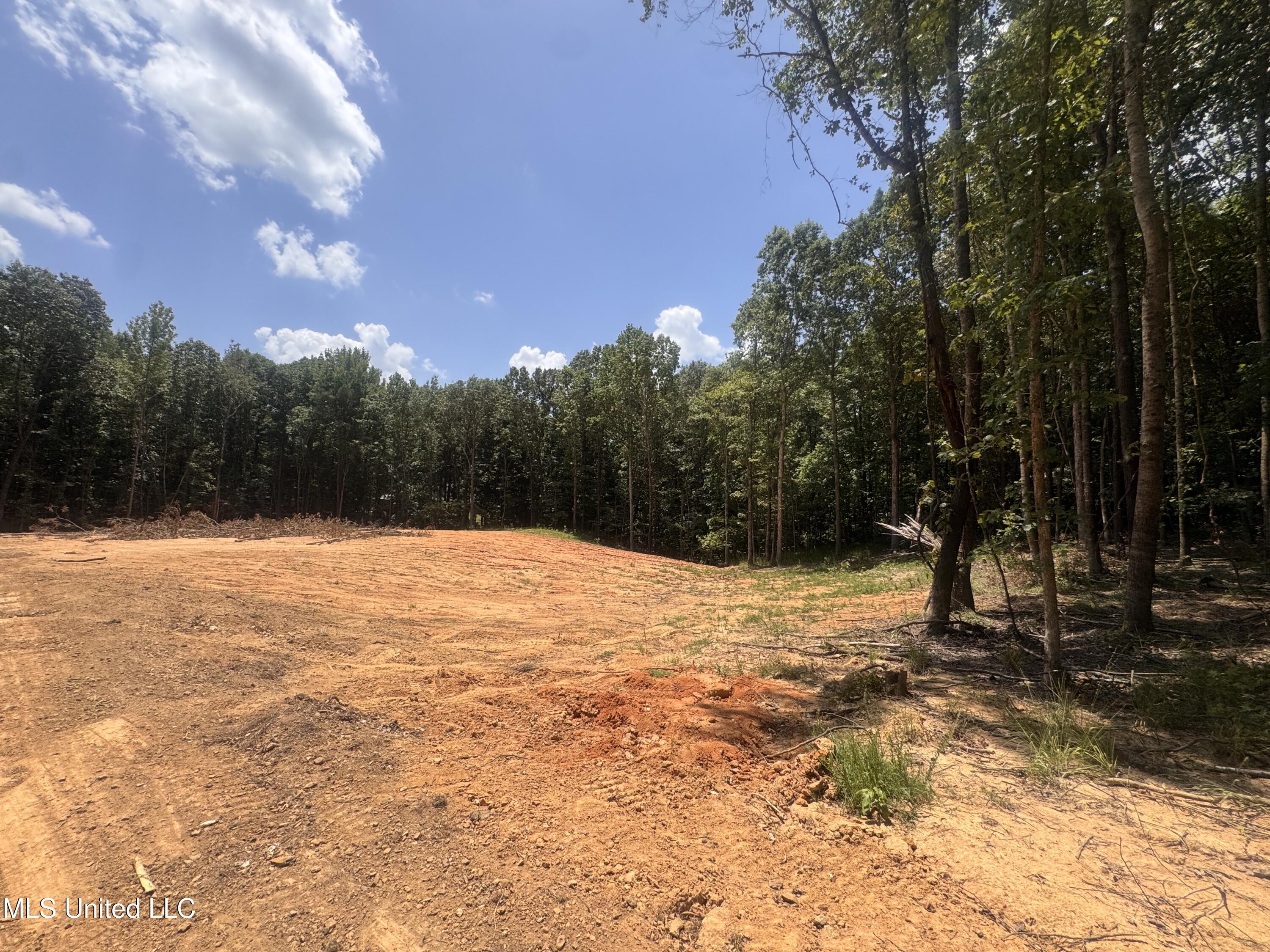 Property Photo:  25 Leonard Lane  MS 38635 