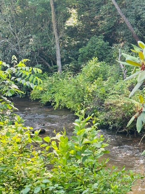 Property Photo: Lot 62 &Amp Creek Lot A, Stone Ridge Falls Subdivision NC 28906