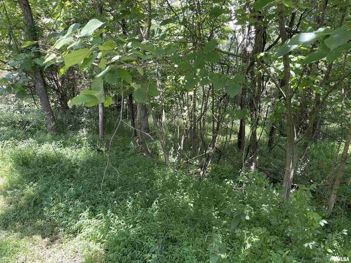 Property Photo: Lot 246 Mark Drive IL 62939