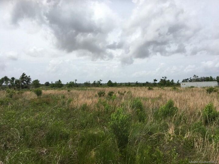 Property Photo:  123 Willie Granger Road  LA 70607 