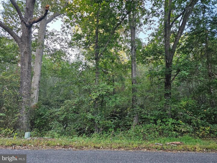 Property Photo: Lot 52 Lowe Drive VA 22469